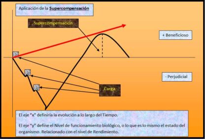 Preparación Física. Adaptación al Ejercicio Físico a través del Entrenamiento Deportivo. Optimiza el proceso de Supercompensación.