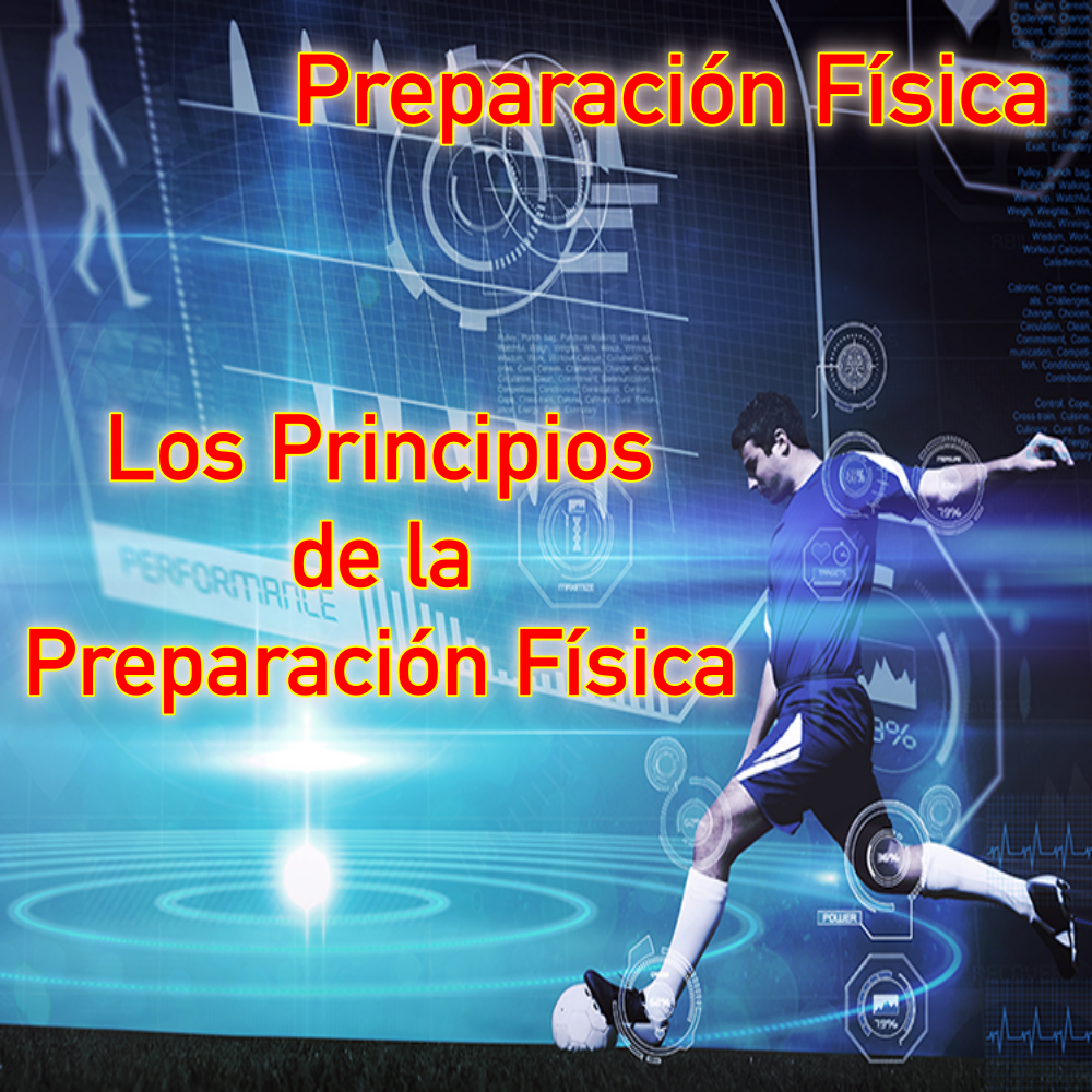 Preparación Física Los Principios De La Preparación Física Y El